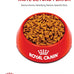 Royal Canin Feline Care Nutrition Hairball Care Adult Dry Cat Food, 6 lb Bag