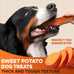 Brutus & Barnaby usa-grown sweet potato dog treats for sensitive stomachs, single ingredient, hypoallergenic