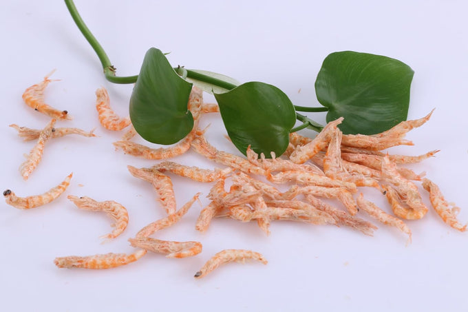Premium Freeze-Dried Krill & Shrimp Mix for Arowana, Koi, Tropical Cichlids and Turtles - High Protein Floating Aquarium Food 1000ml