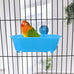 Wontee Bird Bath Mirror Toy for Small Breeds Parrot Canary Budgies Parakeets