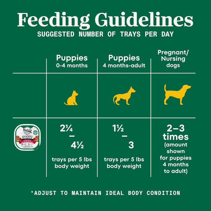 Nutro Puppy Grain Free Wet Dog Food, Tender Beef, Pea & Carrot