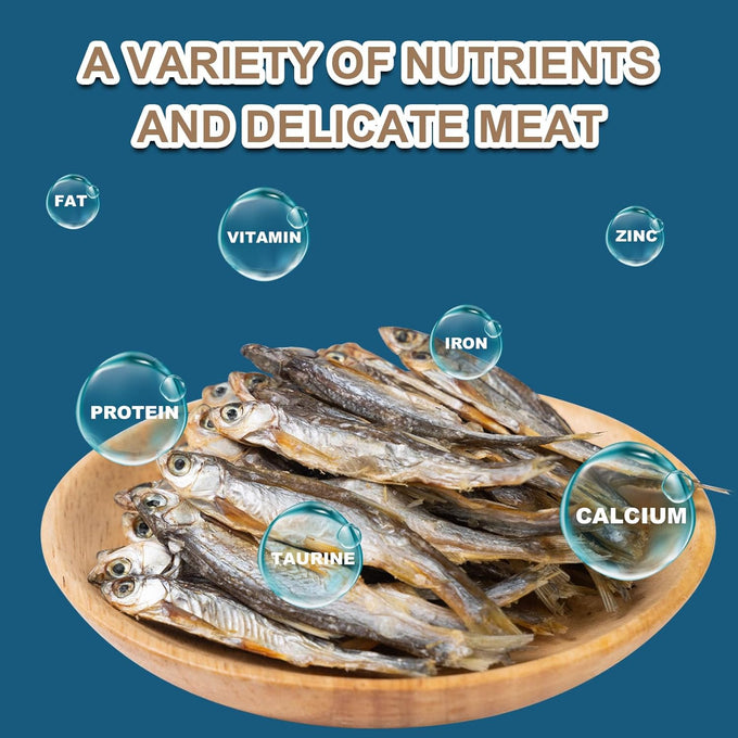 Dried River Fish Minnows - High Protein Natural Food for Turtles, Bearded Dragons, Cats & Tropical Fish (5.5oz)