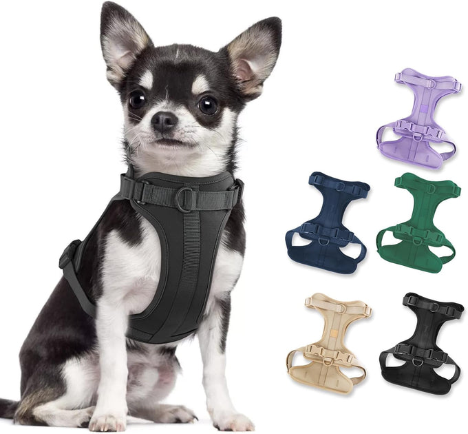 Wisedog No Pull Lightweight Adjustable Pet Vest Harness for Small Medium Large Dogs, Soft Cushion, Pine Green, Size S