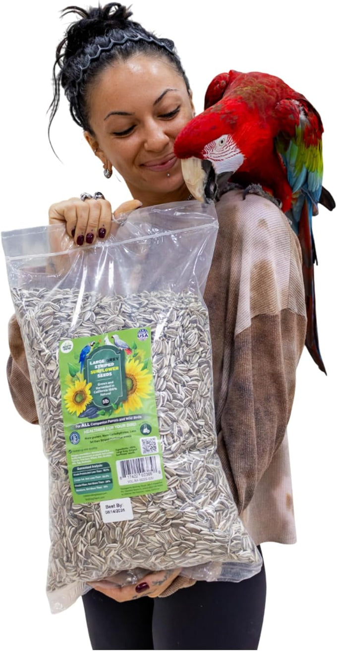 nemeth-farms-striped-sunflower-seeds-for-parrots-bird-food-5-lb-extra-large-gray-5