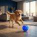 Blue Interactive Dog Ball Toy with 3 Play Modes and Colorful Lights for Medium to Large Dogs