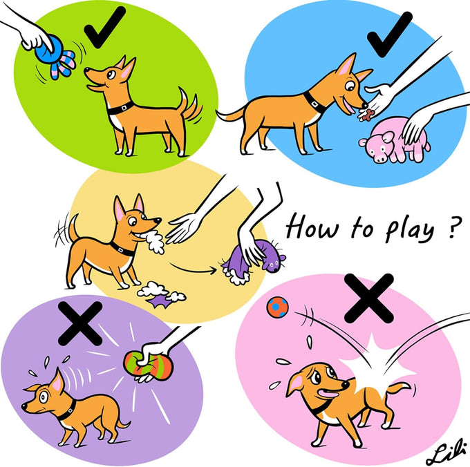chiwava 3 pack 9 inch squeaky latex dog toys for small medium dogs interactive play