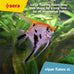 sera Vipan Tropical Flakes XL 7.4 oz premium staple food for large surface-feeding ornamental fish