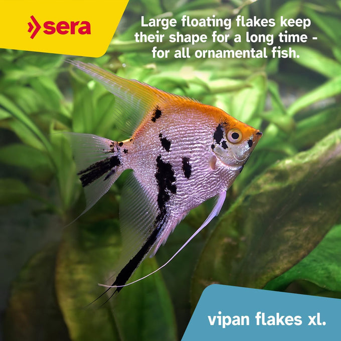 sera Vipan Tropical Flakes XL 7.4 oz premium staple food for large surface-feeding ornamental fish