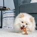 Hartz  Chew 'n Clean Chicken Flavored Drumstick Dog Toy, Small for Puppies and Adult Dogs, Teething and Chewing Toy