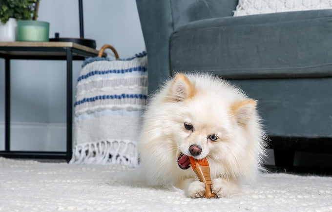 Hartz  Chew 'n Clean Chicken Flavored Drumstick Dog Toy, Small for Puppies and Adult Dogs, Teething and Chewing Toy
