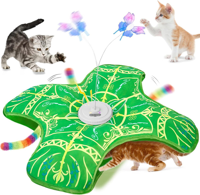 Qraxond Rechargeable Touch Activated Hide and Seek Kitten Toy for Indoor Cats, Blue