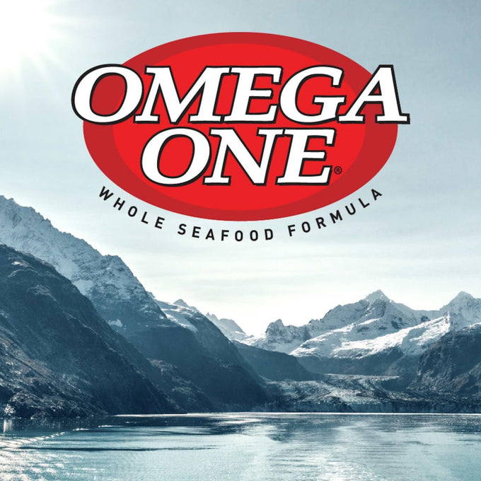 Omega One 0.42 oz Goldfish Flakes for Sensitive Digestive Systems with Color-Boosting Salmon & Kelp, Low Starch Formula