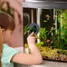 PAIZOO digital thermometer with ±0.9°F accuracy for fish tanks and aquariums with LED display