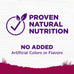 Wellness Complete Health Small Breed Puppy Dry Dog Food, Wholesome Grain Kibble, Natural, Turkey, Oatmeal, and Salmon Recipe, 4 lb Bag
