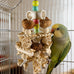 Natural Wooden Parrot Toy for Small to Medium Parrots with Safe Chewing Materials and Multi-Sensory Stimulation