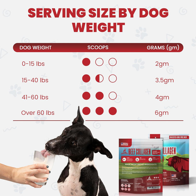 Grass fed Collagen for Dogs supports healthy skin, coat, hip, joint care and cartilage support for dogs with 100% all natural collagen