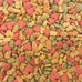 Higgins Intune Parrot food 3 lbs with DHA, omega fatty acids and probiotics, no artificial colors, flavors or preservatives, 1-3 lbs