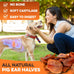 brutus-and-barnaby-whole-pig-ears-dog-chews-12ct-all-natural-slow-cooked