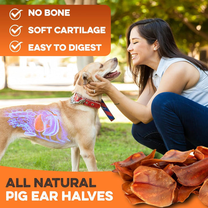 brutus-and-barnaby-whole-pig-ears-dog-chews-12ct-all-natural-slow-cooked