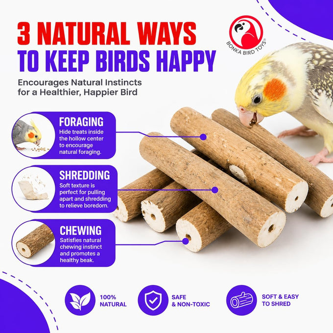 Bonka Bird Toys 1211 Pk6 6-pack natural sola sticks 3 long 1.25 diameter soft chew foraging toy