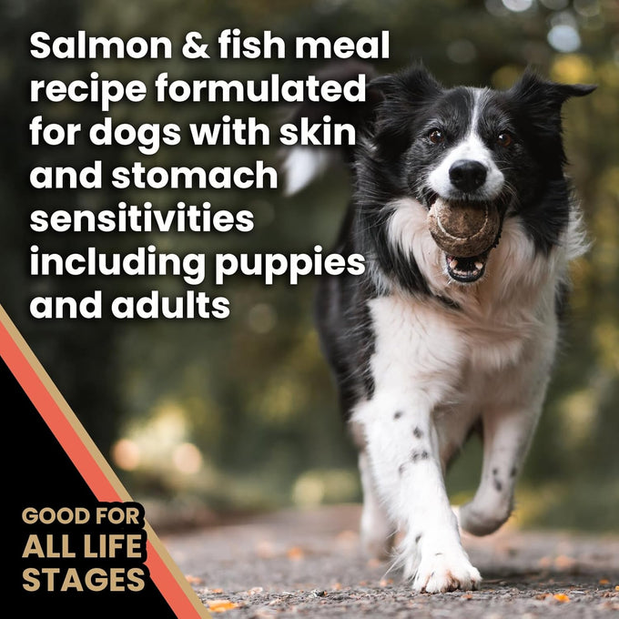 VICTOR Super Premium Dog Food — Sensitive Skin and Stomach — Salmon Meal & Brown Rice Recipe Dry Kibble — Gluten Free, No Chicken, Ideal for Dogs with Allergies — Adult and Puppy Food, 5 lb