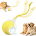 Red Red Interactive Electric Pet Ball Toy for Cats and Dogs with Motion Activation and USB Charging - 5-Inch Diameter