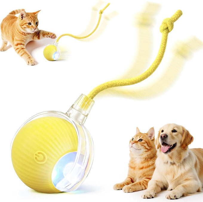Red Red Interactive Electric Pet Ball Toy for Cats and Dogs with Motion Activation and USB Charging - 5-Inch Diameter