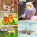 7.3 inch natural corrugated cardboard bird platform toy for parrots and small to medium-sized pet birds
