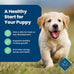 Blue Buffalo Puppy Dry Dog Food, Lamb & Oatmeal, 5-lb