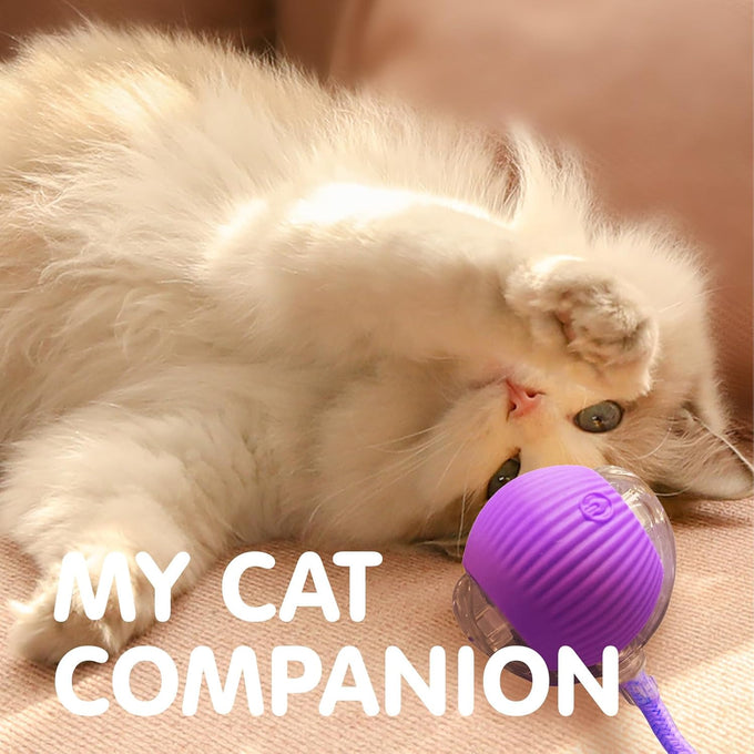Rocfish Durable Interactive Cat Toy for Indoor Cats, Automatic Chase Ball Toy Purple