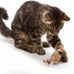 ourpets play-n-squeak twice the mice cat toy, 2pc interactive catnip toy with real mouse electronic sound