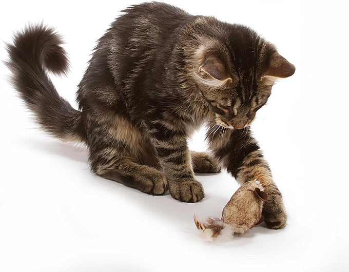ourpets play-n-squeak twice the mice cat toy, 2pc interactive catnip toy with real mouse electronic sound