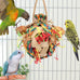 Wontee colorful crinkly shredding toys for medium-sized birds like cockatiels, conures, and parakeets, 1 pack, natural dried fruits chew