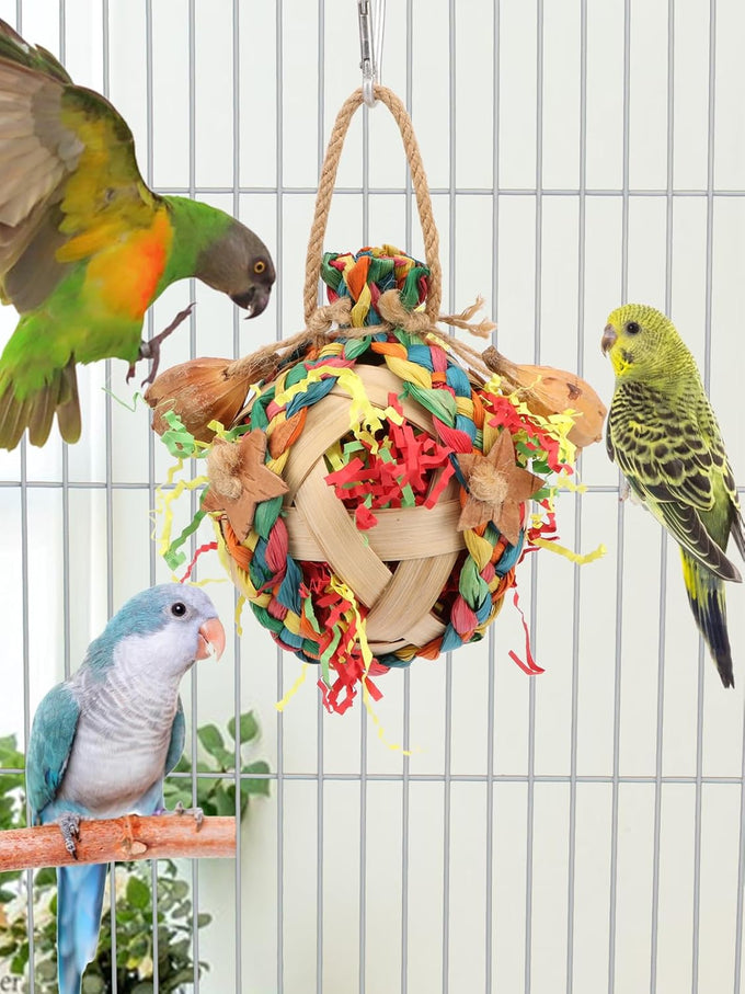 Wontee colorful crinkly shredding toys for medium-sized birds like cockatiels, conures, and parakeets, 1 pack, natural dried fruits chew