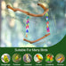 Grape Wood Bird Swing Toy for Small to Medium Sized Birds, U Shape Hangable with Chains, Natural Perch for Budgerigars, Parakeets