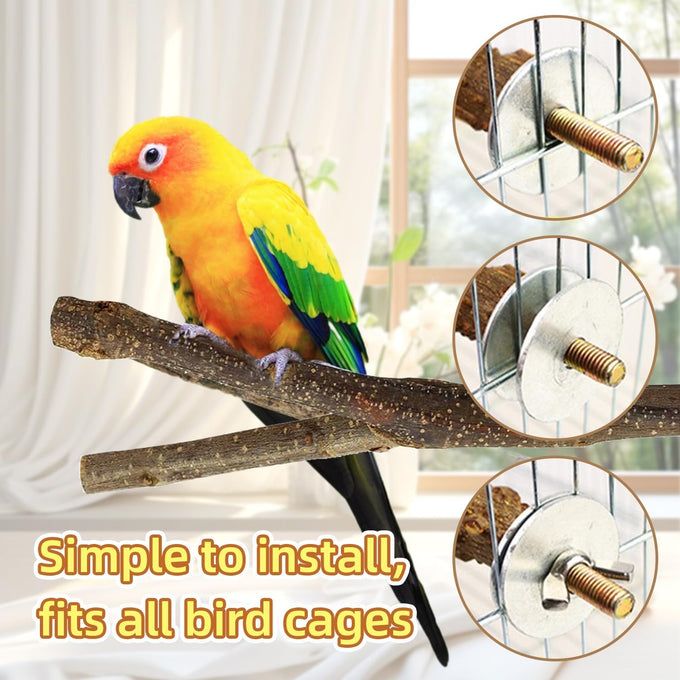 Natural Wood 8-Piece Bird Perch Set with Fork Toys and Hammock Swing for Parakeets and Budgies