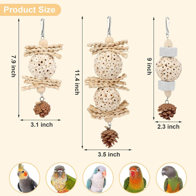 Wontee natural sola ball parrot foraging hanging toys, safe for cockatiels, conures, parakeets, budgies, senegal, 3 pack