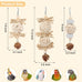Wontee natural sola ball parrot foraging hanging toys, safe for cockatiels, conures, parakeets, budgies, senegal, 3 pack
