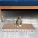 Cat Scratcher Toys set, 5-pack, reusable, double-sided, cardboard pad for indoor cats