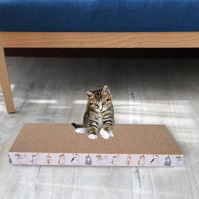 Cat Scratcher Toys set, 5-pack, reusable, double-sided, cardboard pad for indoor cats