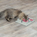 Trixie cat activity poker box strategy game with 4 modules for mental stimulation and slow feeding pink gray 12.2 x 12.2 x 2.5 in