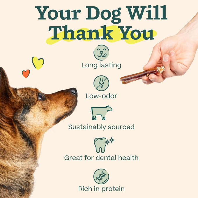 woof bully sticks made with free-range grass-fed beef 6 inch sticks 10pk