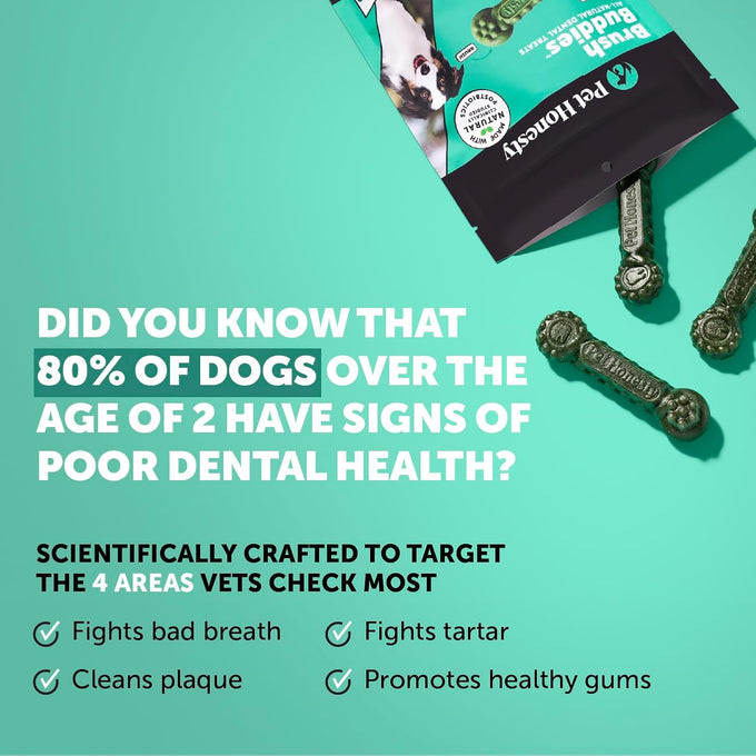 Pet Honesty Brush Buddies All Natural Dog Dental Treats, Long Lasting, Teeth Cleaner