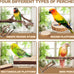 limio natural wood bird perch set for parakeets cockatiels conure budgies 6-piece