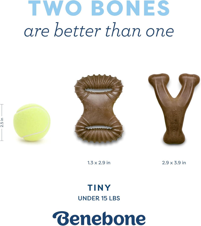 Benebone puppy 2-pack dental chews with real bacon flavor, made in usa, gentle on little teeth