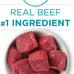 purina one natural high protein grain free wet cat food pate beef recipe pack of 24 3 oz pull top cans