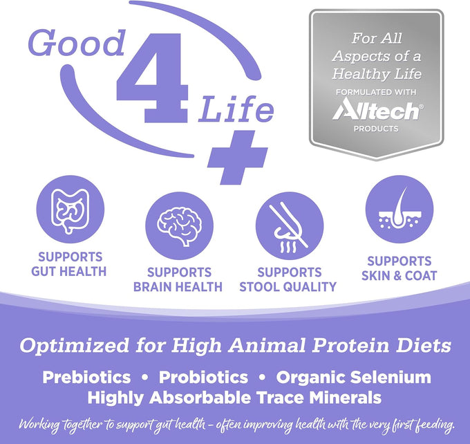 NutriSource Grain Free Chicken & Salmon Cat & Kitten Food, 4LB, 43% Protein, Omega-3 & Omega-6, Prebiotics & Probiotics