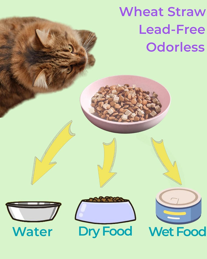 6-pack cat food bowls with non-slip feet, shallow relief, 5.5" wide, bpa-free, dishwasher safe