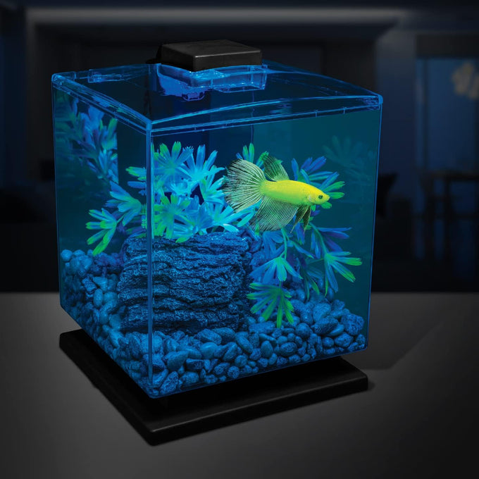 GloFish aquarium gravel, 5 pounds, pearlescent, for tanks and décor, AQ-78484