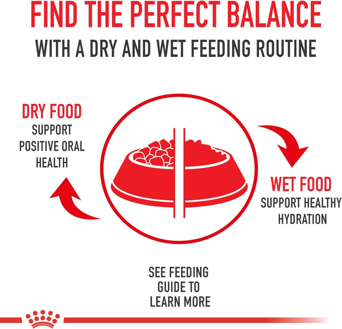 Royal Canin feline health nutrition dry cat food for indoor adult cats 7 lb bag
